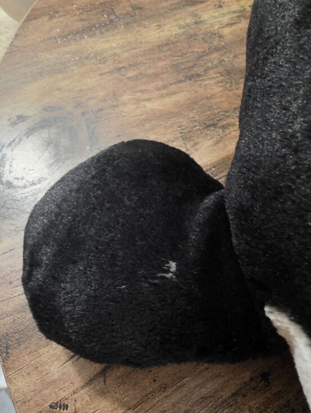 Seaworld Orca Killer Whale Plush - Picture 3 of 6